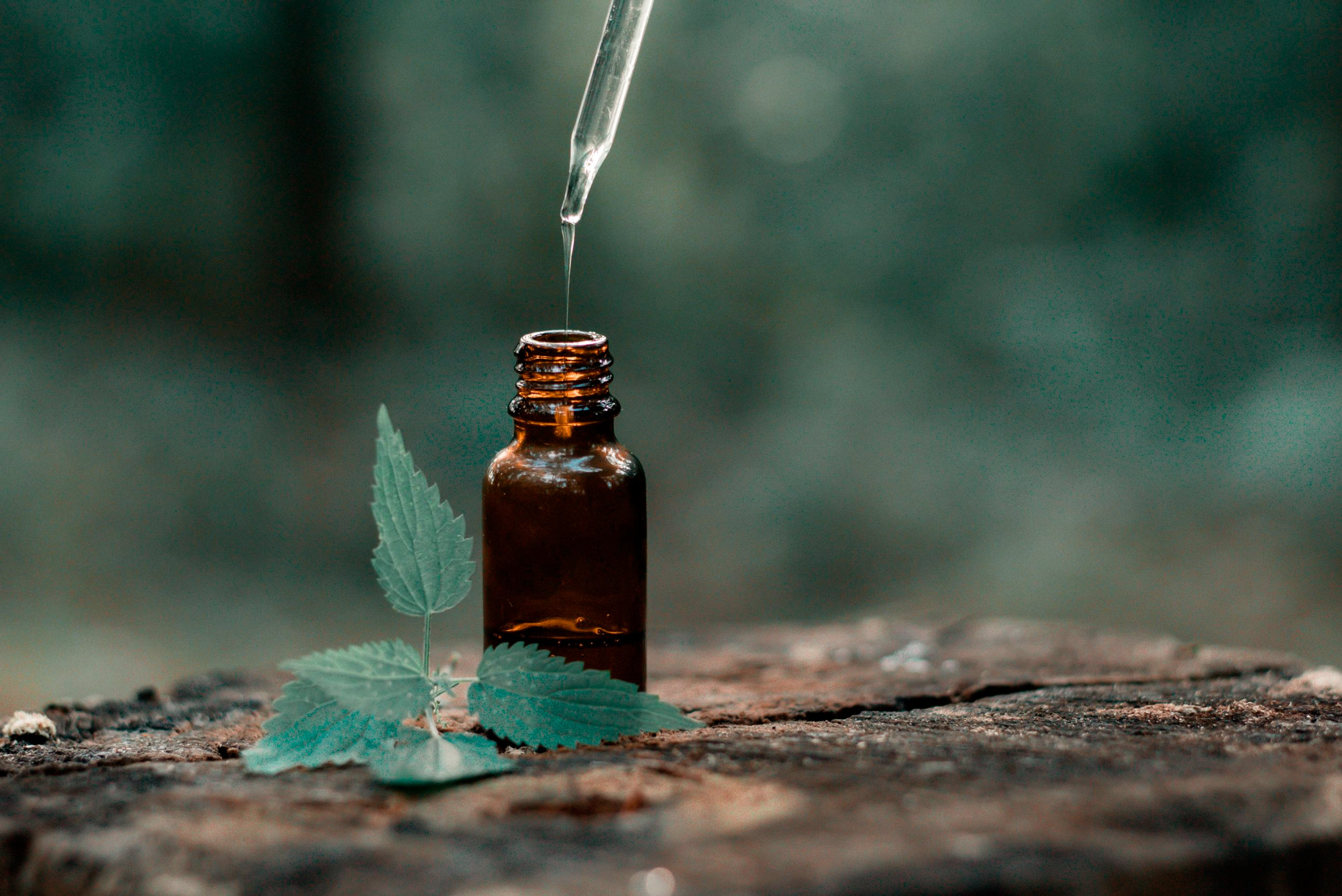 Adeus, tóxicos: benefícios dos cosméticos veganos e naturais