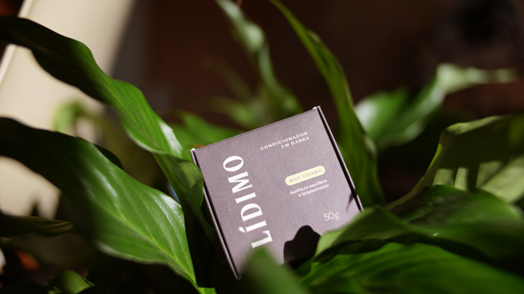 Shampoo sólido Lídimo em cima de uma planta.
